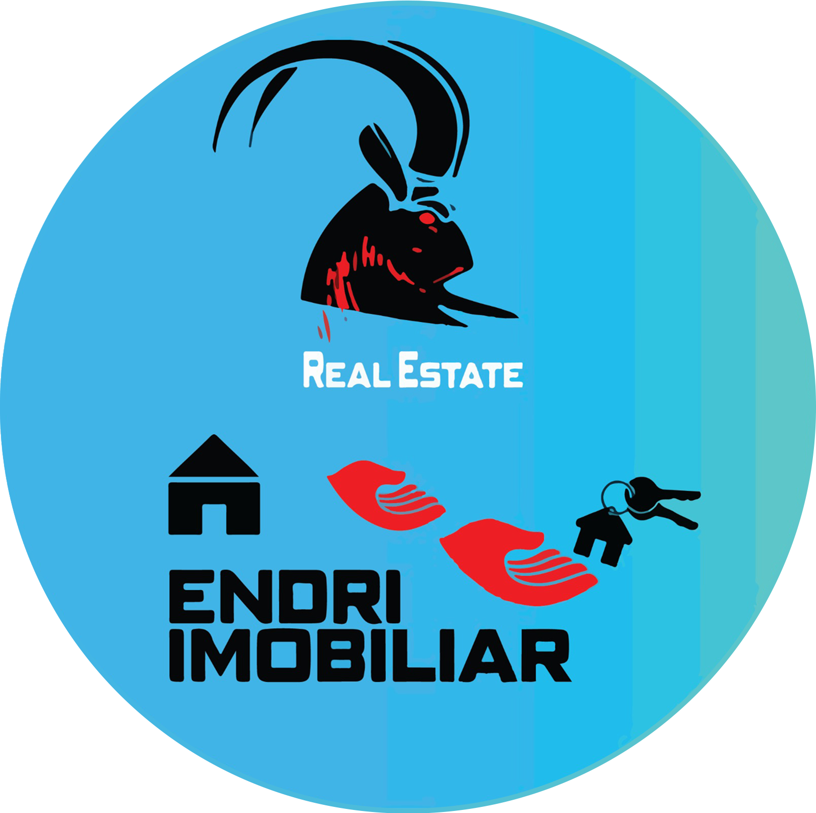Endri Imobiliare